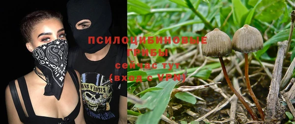 твердый Киреевск