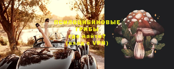 стафф Киренск