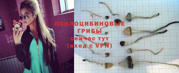 PSILOCYBIN Касимов